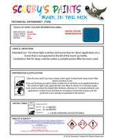 Nissan Nv400 Saviem Blue Code Z51 Touch Up Paint Instructions for use application