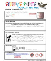Nissan Note Silk Pink Code Nar Touch Up Paint Instructions for use application