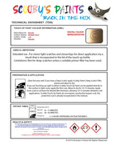Nissan Navara Bronze Gold Code C20 Touch Up Paint Instructions for use application