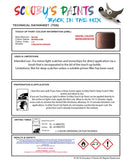 Nissan Micra Brown Dune Code C15 Touch Up Paint Instructions for use application