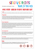 code paint instructions body repair touch up colour PEUGEOT ORANGE PONTS ET CHAUSSEES Code: 207F