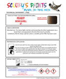 Instructions for Use PEUGEOT 308 BROWN SQUIRELL Brown/Beige/Gold EJP