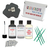 Paint For PEUGEOT Grey Code: BU0239 Touch Up Paint Detailing Scratch Repair Kit
