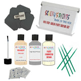 Paint For PEUGEOT TROPICAL BEIGE Code: 216F Touch Up Paint Detailing Scratch Repair Kit