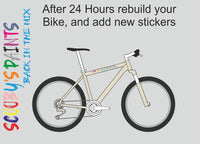 RAL1013-Oyster white-400ml Bascoat Bicycle Paint For Respray