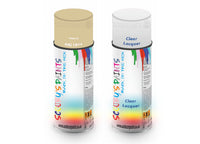 Bike Respray Aerosol Spray Paint RAL1014 Ivory