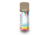 Bike Bicycles Respray Aerosol Spray Paint RAL1019 Grey beige