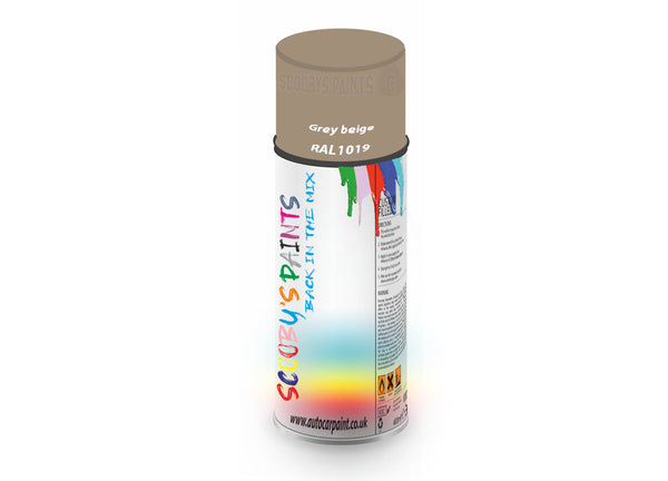 Bike Bicycles Respray Aerosol Spray Paint RAL1019 Grey beige