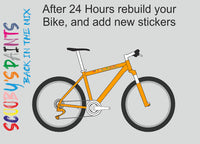RAL1028-Melon yellow-400ml Bascoat Bicycle Paint For Respray
