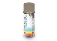 Bike Bicycles Respray Aerosol Spray Paint RAL1035 Pearl beige