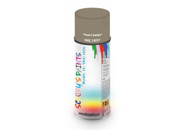 Bike Bicycles Respray Aerosol Spray Paint RAL1035 Pearl beige
