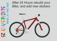 RAL3002-Carmine red-400ml Bascoat Bicycle Paint For Respray