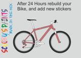 RAL3014-Antique pink-400ml Bascoat Bicycle Paint For Respray