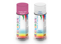 Bike Respray Aerosol Spray Paint RAL4003 Heather violet