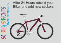 RAL4004-Claret violet-400ml Bascoat Bicycle Paint For Respray