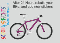 Bike Respray Aerosol Spray Paint RAL4006 Traffic purple Auto Car Paint UK