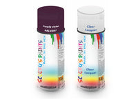 Bike Respray Aerosol Spray Paint RAL4007 Purple violet