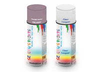 Bike Respray Aerosol Spray Paint RAL4009 Pastel violet