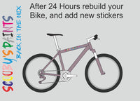 RAL4009-Pastel violet-400ml Bascoat Bicycle Paint For Respray