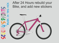 RAL4010-Telemagenta-400ml Bascoat Bicycle Paint For Respray