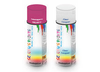Bike Respray Aerosol Spray Paint RAL4010 Telemagenta