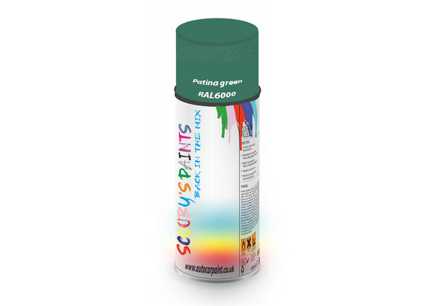 Bike Bicycles Respray Aerosol Spray Paint RAL6000 Patina green
