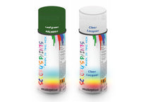 Bike Respray Aerosol Spray Paint RAL6002 Leaf green