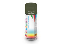 Bike Bicycles Respray Aerosol Spray Paint RAL6003 Olive green
