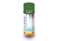 Bike Bicycles Respray Aerosol Spray Paint RAL6010 Grass green