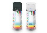 Bike Respray Aerosol Spray Paint RAL6012 Black green