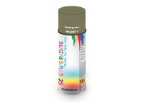 Bike Bicycles Respray Aerosol Spray Paint RAL6013 Reed green