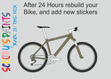 RAL6013-Reed green-400ml Bascoat Bicycle Paint For Respray