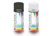 Bike Respray Aerosol Spray Paint RAL6015 Black olive
