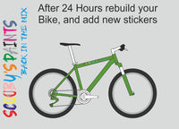 RAL6018-Yellow green-400ml Bascoat Bicycle Paint For Respray