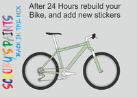RAL6019-Pastel green-400ml Bascoat Bicycle Paint For Respray