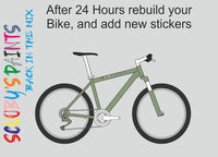RAL6021-Pale green-400ml Bascoat Bicycle Paint For Respray