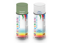 Bike Respray Aerosol Spray Paint RAL6021 Pale green