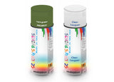 Bike Respray Aerosol Spray Paint RAL6025 Fern green