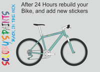 RAL6027-Light green-400ml Bascoat Bicycle Paint For Respray