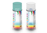 Bike Respray Aerosol Spray Paint RAL6027 Light green