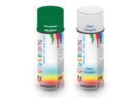 Bike Respray Aerosol Spray Paint RAL6029 Mint green