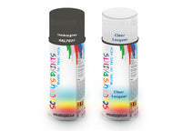 Bike Respray Aerosol Spray Paint RAL7022 Umbra grey