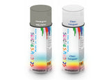 Bike Respray Aerosol Spray Paint RAL7030 Stone grey