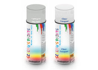 Bike Respray Aerosol Spray Paint RAL7035 Light grey