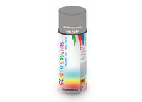 Bike Bicycles Respray Aerosol Spray Paint RAL7036 Platinum grey