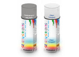 Bike Respray Aerosol Spray Paint RAL7036 Platinum grey