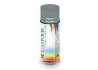 Bike Bicycles Respray Aerosol Spray Paint RAL7046 Telegrey 2