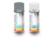 Bike Respray Aerosol Spray Paint RAL7046 Telegrey 2