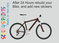 RAL8016-Mahogany brown-400ml Bascoat Bicycle Paint For Respray