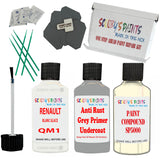 RENAULT Zoe BLANC QUARTZ White QNY Detailing kit sandpaper polish